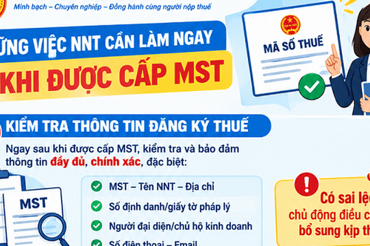 Ngay sau khi được cấp mã số thuế, người nộp thuế cần làm gì?