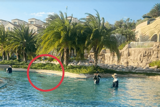 Vụ bé 11 tuổi người Nhật tử vong ở hồ bơi tại resort: Khởi tố bị can Nguyễn Quốc Quân SN 1961