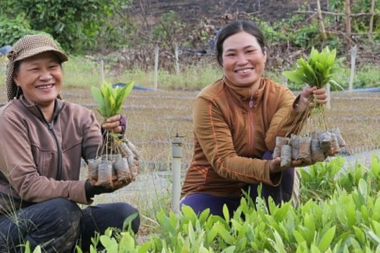Khoa học công nghệ tạo động lực mới cho xuất khẩu nông sản