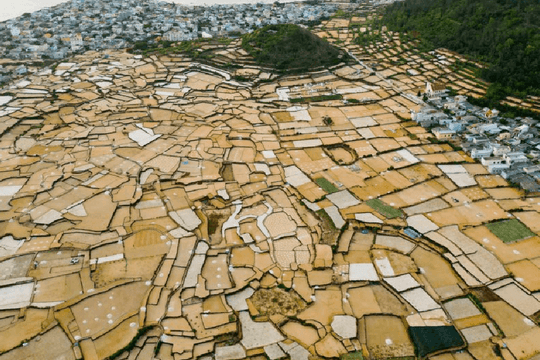Những thửa "ruộng bậc thang" ngoài biển khơi
