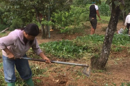 Thay đổi tư duy phát triển kinh tế nhờ các lớp học nghề cho người dân nghèo
