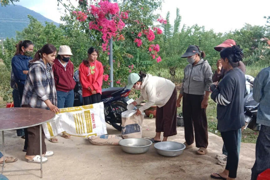 Khảo sát nhu cầu học nghề: Bắt đầu từ sinh kế