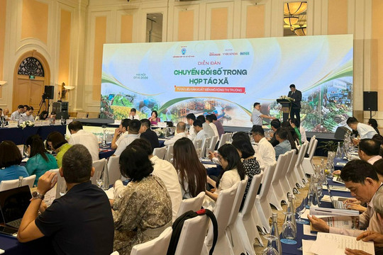 Chuyển đổi số trong Hợp tác xã: Từ dữ liệu sản xuất đến mở rộng thị trường