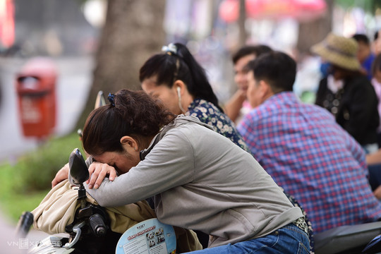 Hội phụ huynh loay hoay sau lệnh cấm thu quỹ