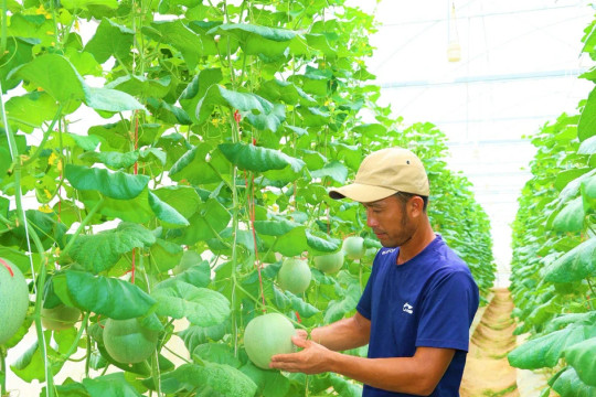 Đào tạo nghề chất lượng cao mở lối giảm nghèo bền vững ở Hà Tĩnh