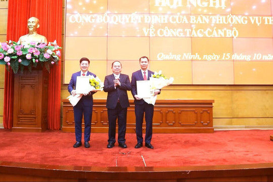 Quảng Ninh điều động, bổ nhiệm loạt cán bộ cấp sở, ngành và lãnh đạo xã, phường