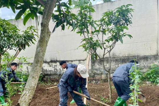 Sơn La đẩy mạnh đào tạo ngành Trồng trọt và Bảo vệ thực vật cho sinh viên