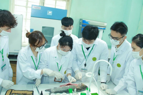 Đại học phải trở thành động lực nghiên cứu và đổi mới sáng tạo