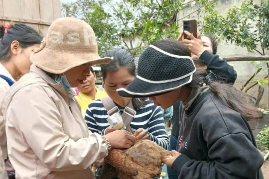 Chất lượng nhà giáo nhìn từ hiệu quả học nghề