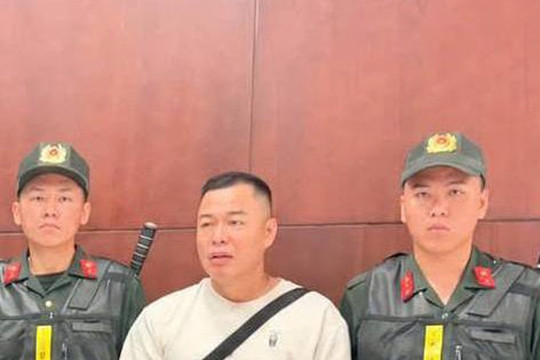 Chồng cũ Hằng Du Mục bị bắt: Vì sao gần 29 tấn táo đỏ khiến Tôn Bằng vướng vòng lao lý?