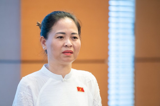 Trường lấy 29,76 điểm, nơi tuyển ở mức sàn: ĐBQH đề nghị siết đào tạo bác sĩ