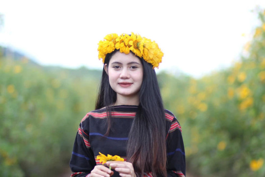 Gia Lai rộn ràng Festival cồng chiêng giữa mùa hoa dã quỳ