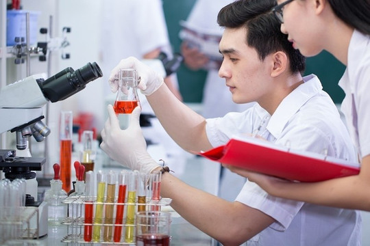 Đề xuất nhân tài được lựa chọn cộng sự, quyết định mức lương thưởng