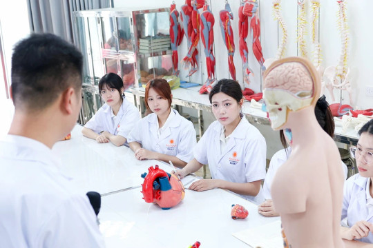 Quy định về nhóm nghiên cứu tiềm năng, nhóm nghiên cứu mạnh trong cơ sở GD đại học