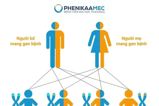 Bệnh Beta Thalassemia là gì? Nhận diện sớm bệnh tan máu bẩm sinh để bảo vệ sức khỏe trọn đời