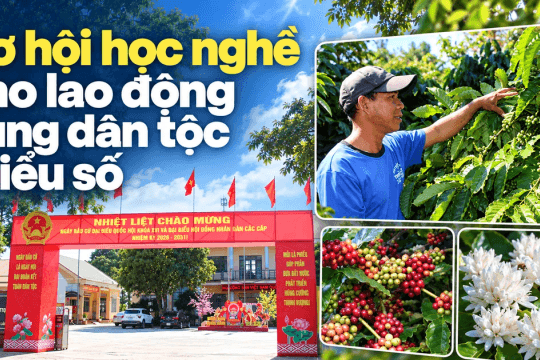 Cơ hội học nghề cho lao động vùng dân tộc thiểu số
