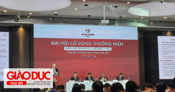 ĐHĐCĐ Nam Long: Mục tiêu doanh số 2 tỷ USD trong 3 năm tới, ưu tiên phát triển phân khúc nhà ở vừa túi tiền