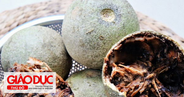 Trái Quách - Lợi Ích Sức Khỏe Không Ngờ Từ Đặc Sản Miền Tây