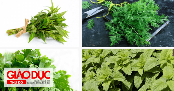 Những loại rau thơm giúp bạn sống khỏe, mọc đầy vườn nhà